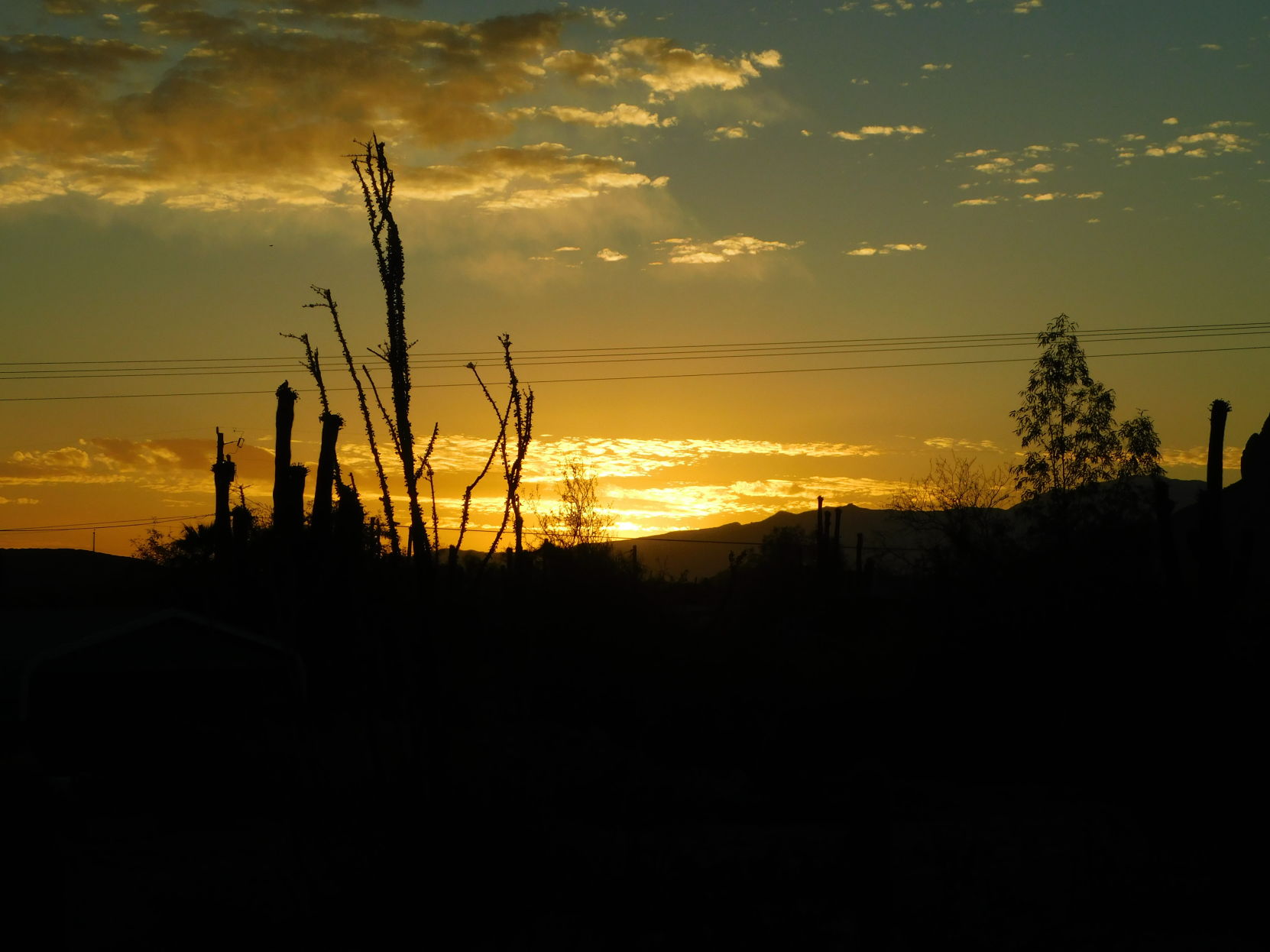 Sunrise in Picture Rocks